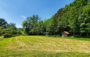 Pilates für Kletterer outdoor Frankenjura